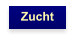 Zucht