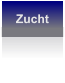 Zucht