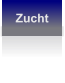 Zucht
